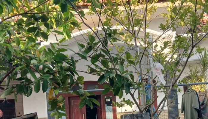 Rumah Mewah di Gersik Putih Disorot Karena Terima Program BSPS