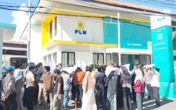 Potong Pohon Sembarangan, PLN Sumenep Didemo Warga