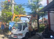 Pemkab Sumenep Perkuat Keselamatan Lingkungan Lewat Pemangkasan Pohon