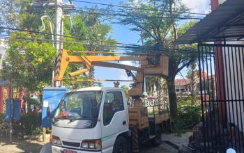 Pemkab Sumenep Perkuat Keselamatan Lingkungan Lewat Pemangkasan Pohon