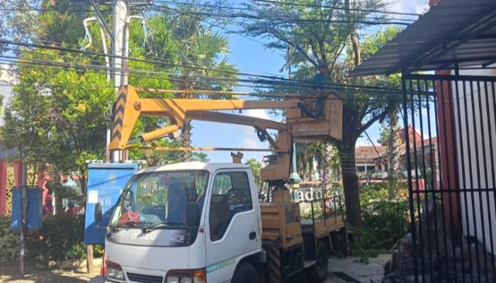 Pemkab Sumenep Perkuat Keselamatan Lingkungan Lewat Pemangkasan Pohon