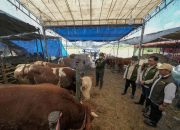 Kolaborasi Pelindo Petikemas dan Pemkot Surabaya Pastikan Hewan Kurban Aman untuk Masyarakat Jelang Idul Adha