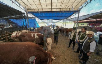 Kolaborasi Pelindo Petikemas dan Pemkot Surabaya Pastikan Hewan Kurban Aman untuk Masyarakat Jelang Idul Adha