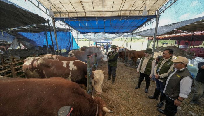 Kolaborasi Pelindo Petikemas dan Pemkot Surabaya Pastikan Hewan Kurban Aman untuk Masyarakat Jelang Idul Adha