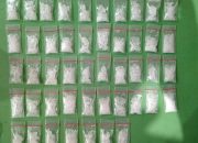 Pengedar Sabu Hang Tuah Dibekuk Polrestabes Surabaya, Polisi Sita 42,9 Gram Sabu