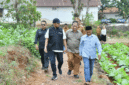 Bupati Fauzi didampingi Kepala DKPP Sumenep Chainur Rasyid memantau lahan tembakau. (Diluartv Photo)